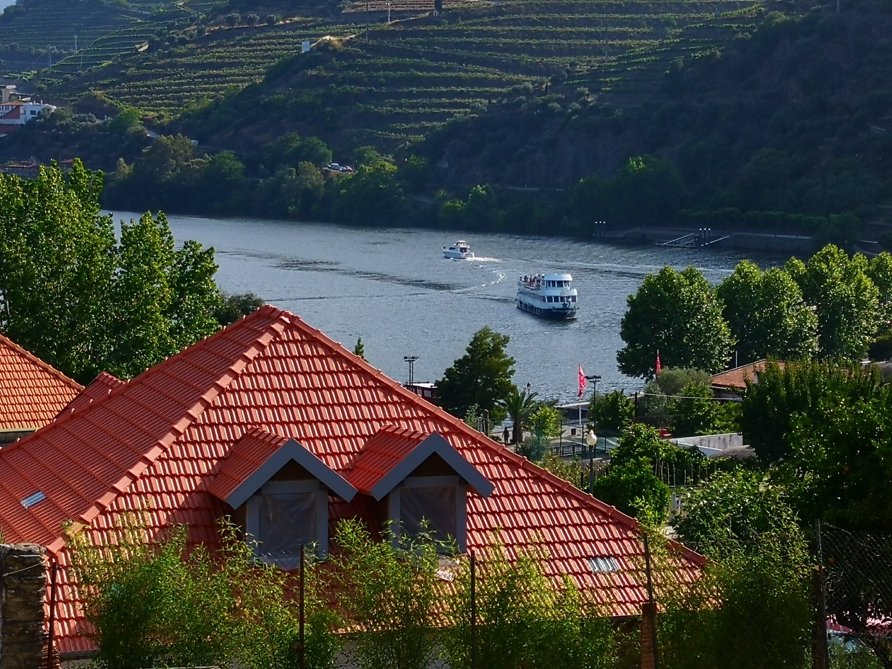 Pinhão beside the Douro amid steep terraced vineyards